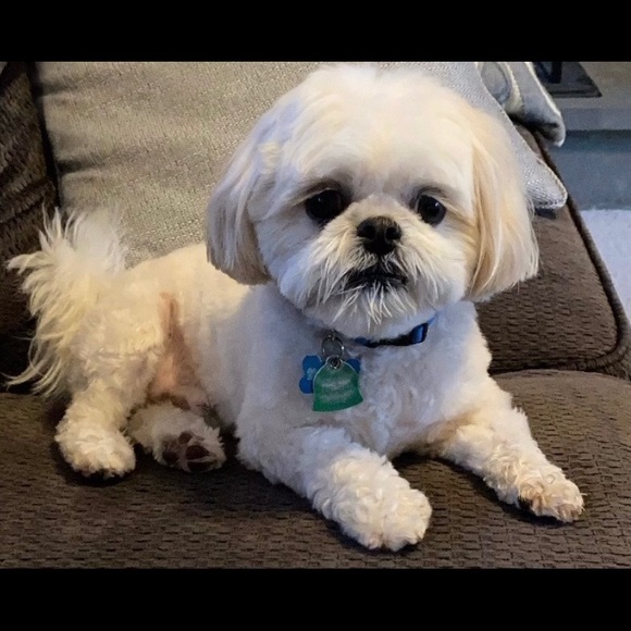 Meet your Posher, Marla - Picture 1 of 1